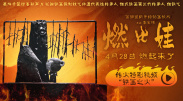 午夜毛片视频
